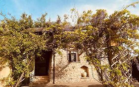 Vigna Vecchia